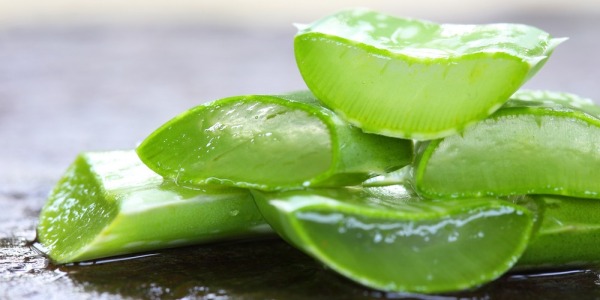 ¿Para qué es bueno el aloe vera? Aclaramos tus dudas