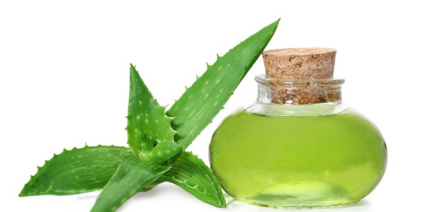 ¿Para qué sirve el gel de aloe vera? La respuesta definitiva