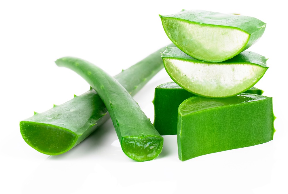 Cómo conservar el aloe vera natural. Todos los trucos