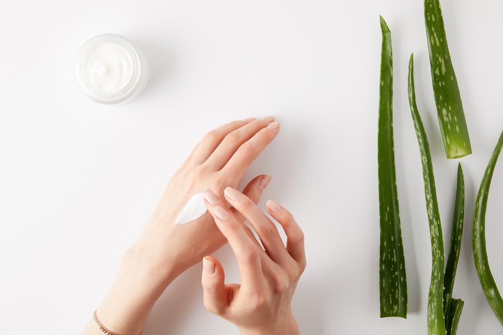 Beneficios del aloe vera. Te los contamos todos