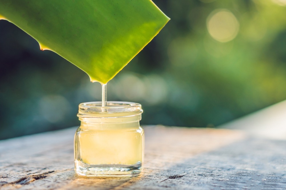 ¿Es bueno el aloe vera para las heridas?